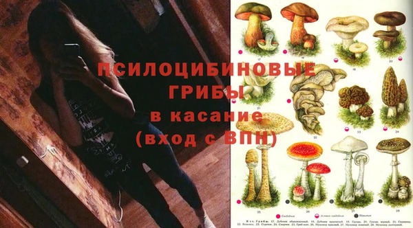 spice Бронницы