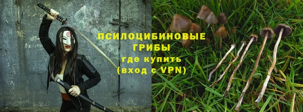 spice Бронницы