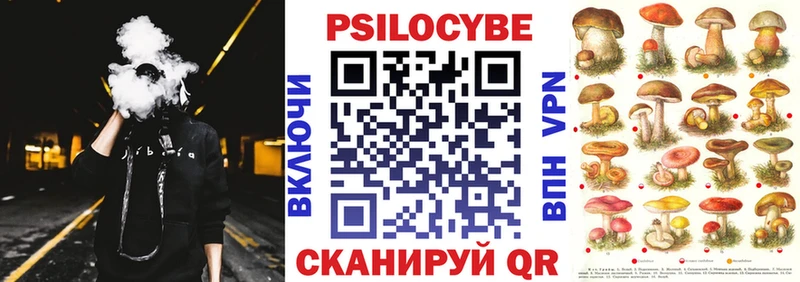 KRAKEN tor Томилино Псилоцибиновые грибы Psilocybe
